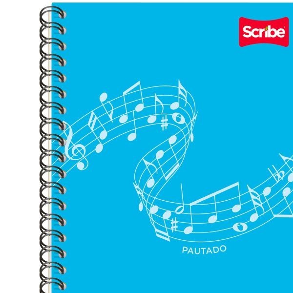 CUADERNO PROF. CLASICO SCRIBE 2908 PAUTADO ESP. 100H. PZA